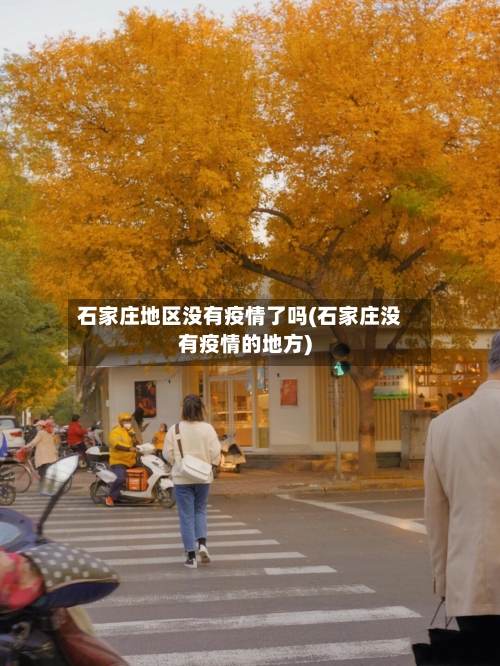 石家庄地区没有疫情了吗(石家庄没有疫情的地方)-第1张图片