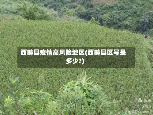 西畴县疫情高风险地区(西畴县区号是多少?)-第1张图片