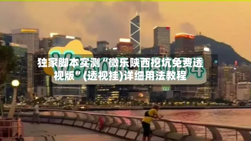 独家脚本实测“微乐陕西挖坑免费透视版”(透视挂)详细用法教程-第1张图片