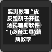 实测教程“皮皮跑胡子开挂透视辅助软件”(必备工具)辅助教学-第1张图片