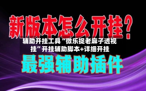 辅助开挂工具“微乐捉老麻子透视挂”开挂辅助脚本+详细开挂-第1张图片