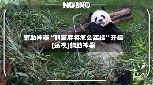 辅助神器“熊猫麻将怎么买挂”开挂(透视)辅助神器-第1张图片