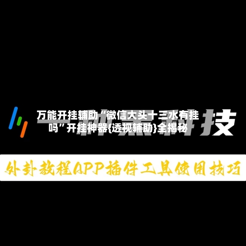 万能开挂辅助“微信大头十三水有挂吗	”开挂神器{透视辅助}全揭秘-第1张图片