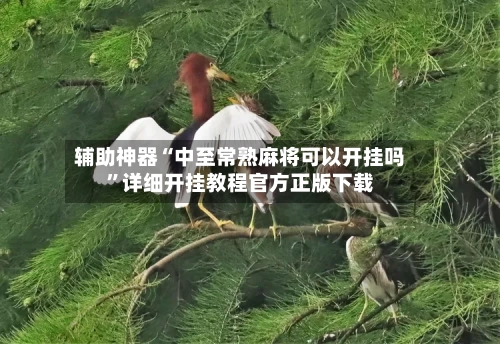 辅助神器“中至常熟麻将可以开挂吗”详细开挂教程官方正版下载-第1张图片