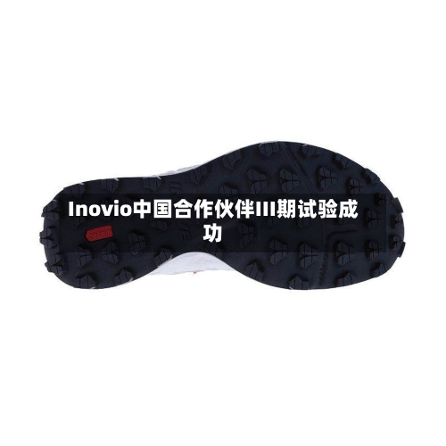 Inovio中国合作伙伴III期试验成功-第1张图片
