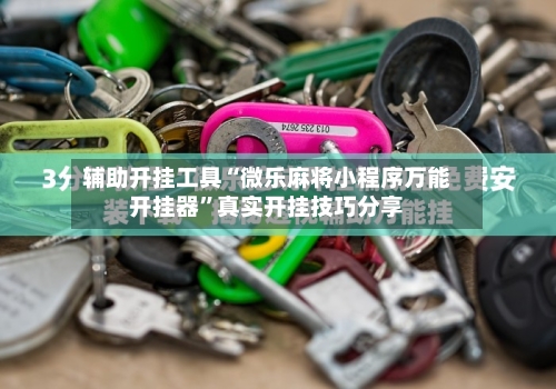 辅助开挂工具“微乐麻将小程序万能开挂器	”真实开挂技巧分享-第1张图片