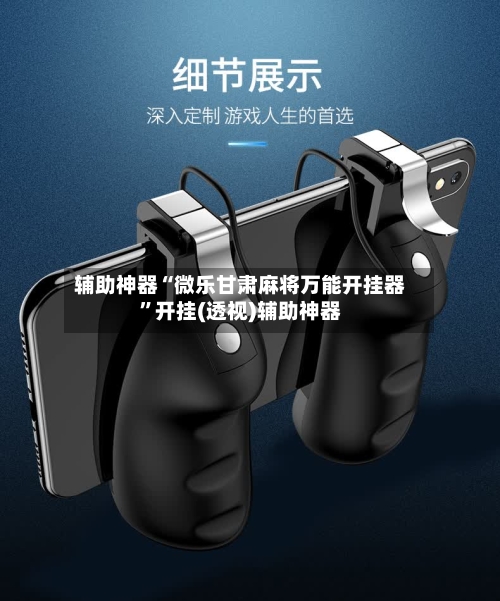 辅助神器“微乐甘肃麻将万能开挂器”开挂(透视)辅助神器-第1张图片