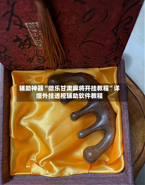 辅助神器“微乐甘肃麻将开挂教程”详细外挂透视辅助软件教程-第1张图片