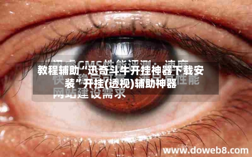 教程辅助“迅奇斗牛开挂神器下载安装”开挂(透视)辅助神器-第1张图片