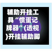 辅助开挂工具“惯蛋记牌器	”(透视)开挂辅助脚本+详细开挂安装教程-第1张图片