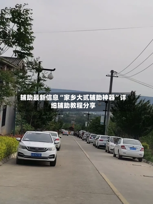 辅助最新信息“家乡大贰辅助神器”详细辅助教程分享-第1张图片