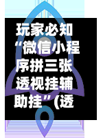 玩家必知“微信小程序拼三张透视挂辅助挂”(透视挂)辅助下载教程-第1张图片