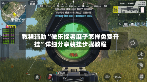 教程辅助“微乐捉老麻子怎样免费开挂”详细分享装挂步骤教程-第1张图片