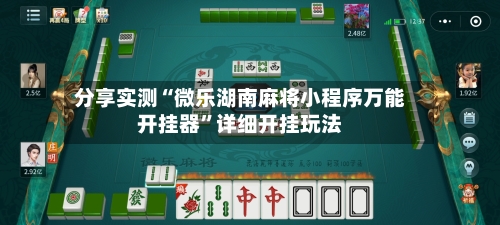 分享实测“微乐湖南麻将小程序万能开挂器	”详细开挂玩法-第1张图片