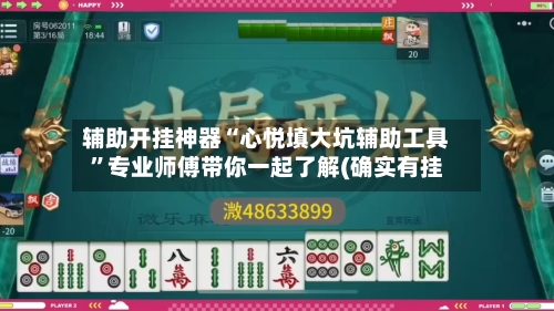 辅助开挂神器“心悦填大坑辅助工具”专业师傅带你一起了解(确实有挂-第1张图片