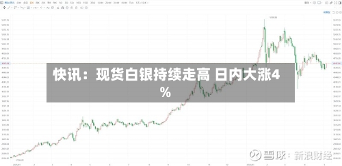 快讯:现货白银持续走高 日内大涨4%-第1张图片