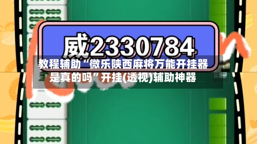 教程辅助“微乐陕西麻将万能开挂器是真的吗”开挂(透视)辅助神器-第1张图片