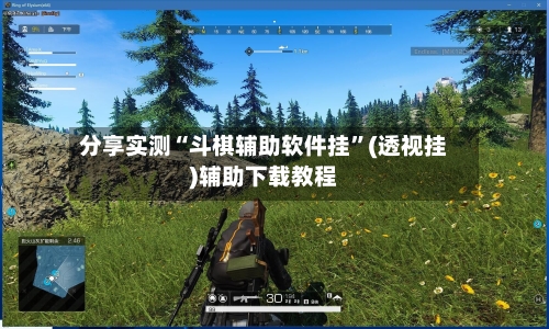 分享实测“斗棋辅助软件挂	”(透视挂)辅助下载教程-第1张图片