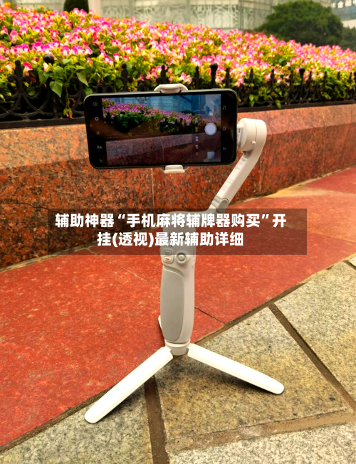 辅助神器“手机麻将辅牌器购买”开挂(透视)最新辅助详细-第1张图片