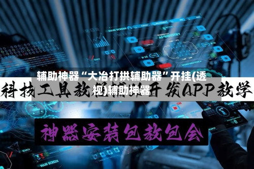 辅助神器“大冶打拱辅助器”开挂(透视)辅助神器-第1张图片