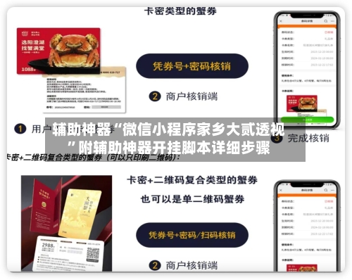 辅助神器“微信小程序家乡大贰透视	”附辅助神器开挂脚本详细步骤-第1张图片