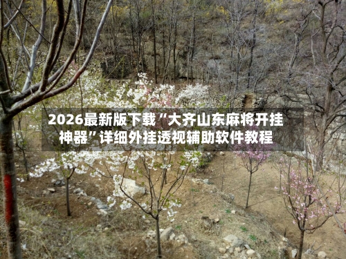 2026最新版下载“大齐山东麻将开挂神器”详细外挂透视辅助软件教程-第1张图片