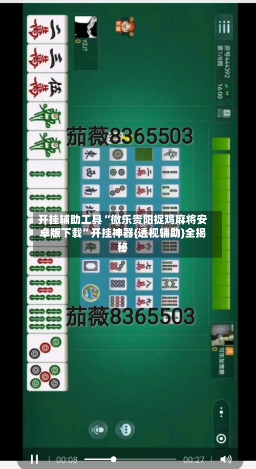 开挂辅助工具“微乐贵阳捉鸡麻将安卓版下载”开挂神器{透视辅助}全揭秘-第1张图片