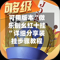可用版本“微乐刨幺红十挂”详细分享装挂步骤教程-第1张图片