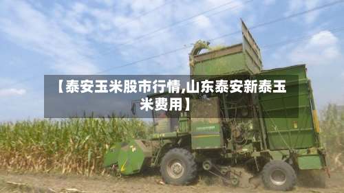 【泰安玉米股市行情,山东泰安新泰玉米费用】-第1张图片
