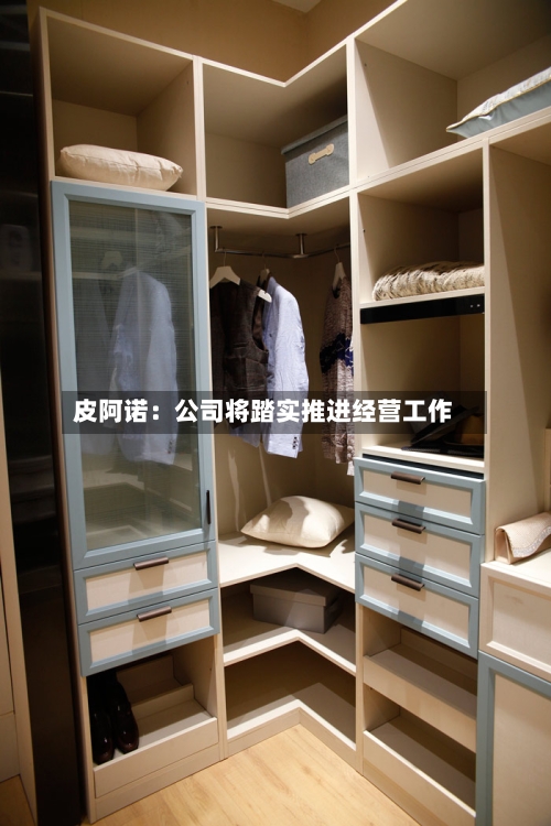 皮阿诺:公司将踏实推进经营工作-第1张图片