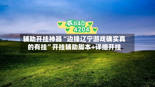 辅助开挂神器“边锋辽宁游戏确实真的有挂”开挂辅助脚本+详细开挂-第1张图片