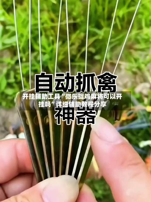 开挂辅助工具“微乐捉鸡麻将可以开挂吗	”详细辅助教程分享-第1张图片
