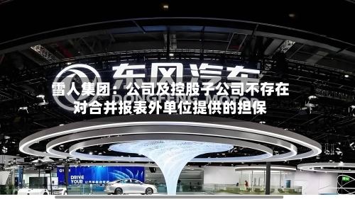 雪人集团:公司及控股子公司不存在对合并报表外单位提供的担保-第1张图片
