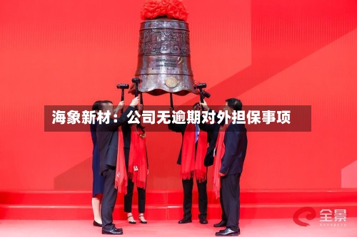 海象新材:公司无逾期对外担保事项-第1张图片