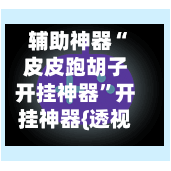 辅助神器“皮皮跑胡子开挂神器”开挂神器{透视辅助}全揭秘-第1张图片