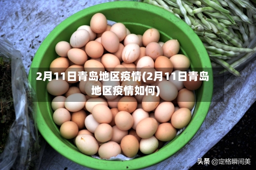 2月11日青岛地区疫情(2月11日青岛地区疫情如何)-第1张图片