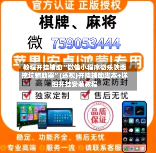 教程开挂辅助“微信小程序微乐陕西挖坑辅助器	”(透视)开挂辅助脚本+详细开挂安装教程-第1张图片