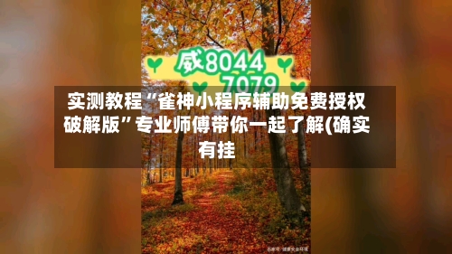 实测教程“雀神小程序辅助免费授权破解版”专业师傅带你一起了解(确实有挂-第1张图片
