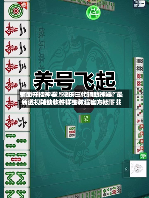 辅助开挂神器“微乐三代辅助神器”最新透视辅助软件详细教程官方版下载-第1张图片