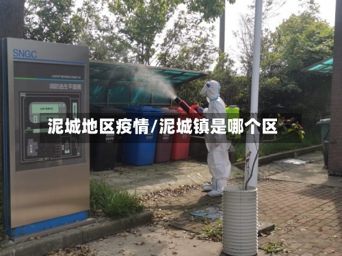 泥城地区疫情/泥城镇是哪个区-第1张图片