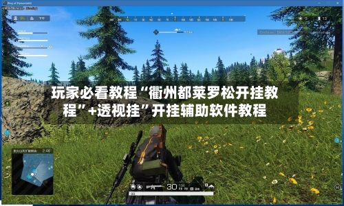 玩家必看教程“衢州都莱罗松开挂教程”+透视挂	”开挂辅助软件教程-第1张图片
