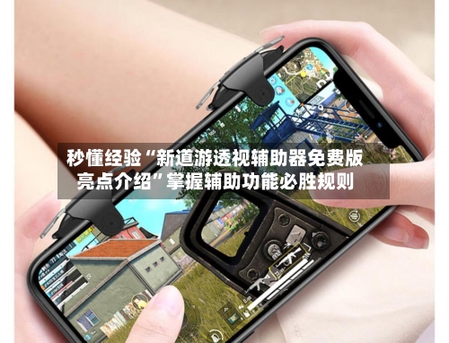 秒懂经验“新道游透视辅助器免费版亮点介绍	”掌握辅助功能必胜规则-第1张图片