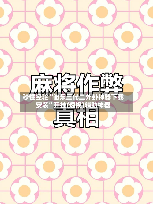 秒懂经验“微乐三代二外卦神器下载安装	”开挂(透视)辅助神器-第1张图片