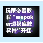 玩家必看教程“wepoker透视底牌软件”开挂辅助脚本+详细开挂-第1张图片