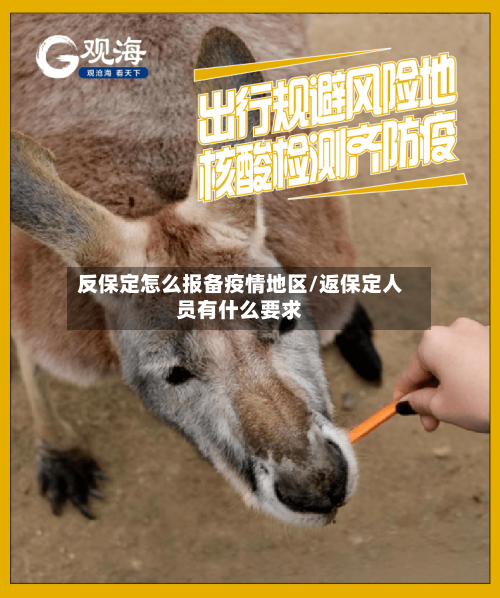反保定怎么报备疫情地区/返保定人员有什么要求-第1张图片