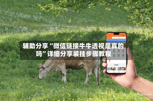 辅助分享“微信链接牛牛透视是真的吗”详细分享装挂步骤教程-第1张图片
