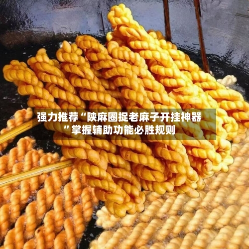 强力推荐“陕麻圈捉老麻子开挂神器”掌握辅助功能必胜规则-第1张图片