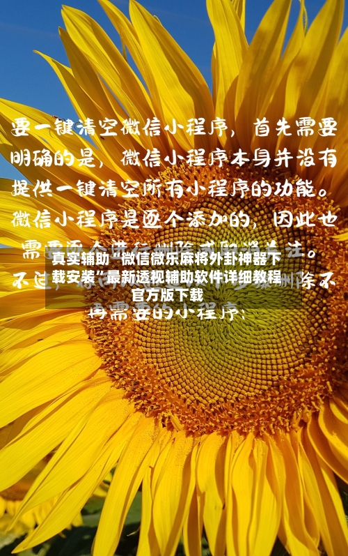 真实辅助“微信微乐麻将外卦神器下载安装”最新透视辅助软件详细教程官方版下载-第1张图片