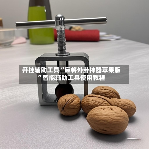 开挂辅助工具“麻将外卦神器苹果版”智能辅助工具使用教程-第1张图片