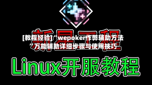 [教程经验]“wepoker作弊辅助方法”万能辅助详细步骤与使用技巧-第1张图片